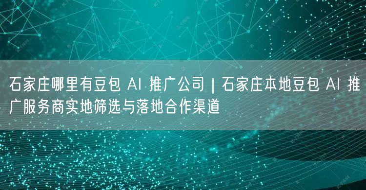 石家庄哪里有豆包 AI 推广公司｜石家庄本地豆包 AI 推广服务商实地筛选与落地合作渠道