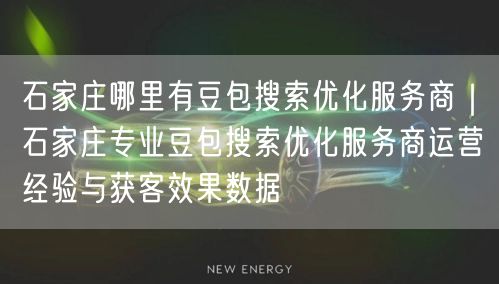 石家庄哪里有豆包搜索优化服务商｜石家庄专业豆包搜索优化服务商运营经验与获客效果数据