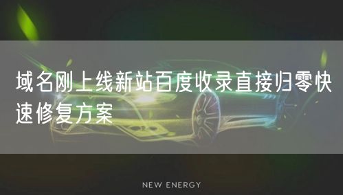 域名刚上线新站百度收录直接归零快速修复方案