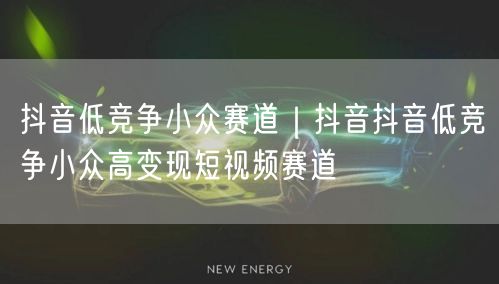 抖音低竞争小众赛道｜抖音抖音低竞争小众高变现短视频赛道