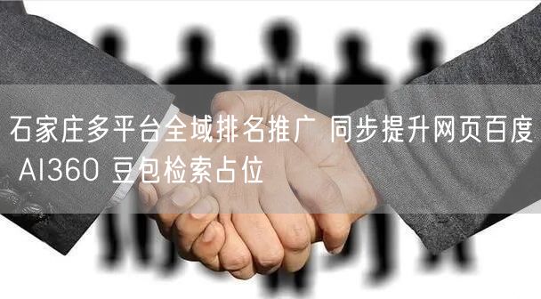 石家庄多平台全域排名推广 同步提升网页百度 AI360 豆包检索占位