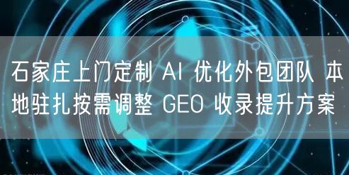 石家庄上门定制 AI 优化外包团队 本地驻扎按需调整 GEO 收录提升方案