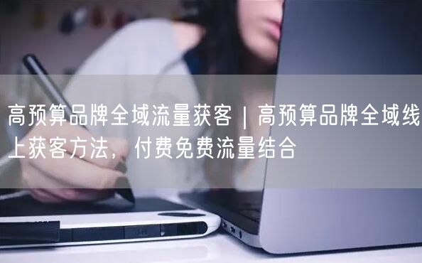 高预算品牌全域流量获客｜高预算品牌全域线上获客方法，付费免费流量结合