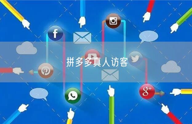 拼多多真人访客