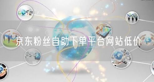 京东粉丝自助下单平台网站低价
