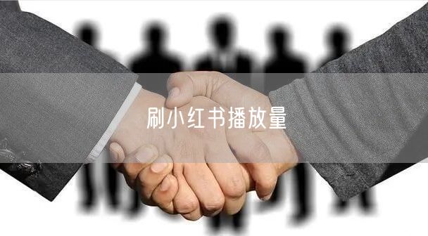 刷小红书播放量