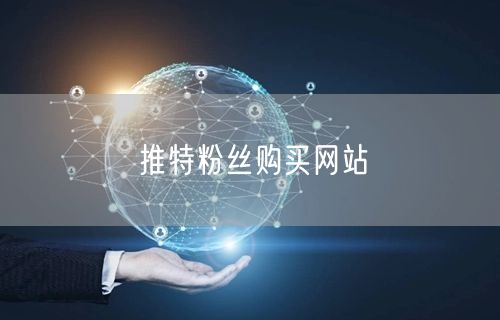 推特粉丝购买网站