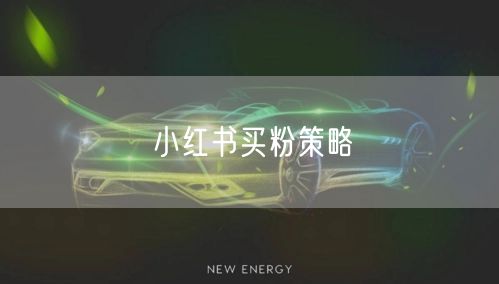 小红书买粉策略