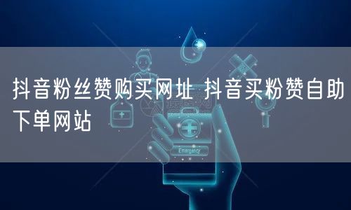 抖音粉丝赞购买网址 抖音买粉赞自助下单网站