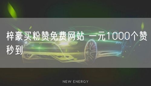 梓豪买粉赞免费网站 一元1000个赞秒到