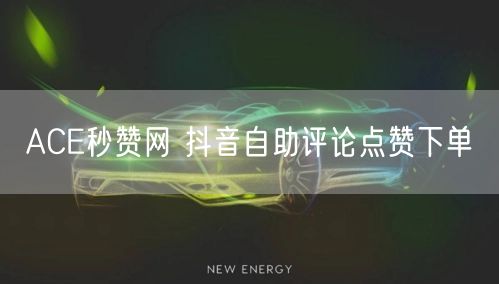 ACE秒赞网 抖音自助评论点赞下单