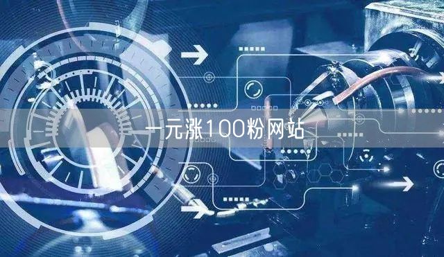 一元涨100粉网站