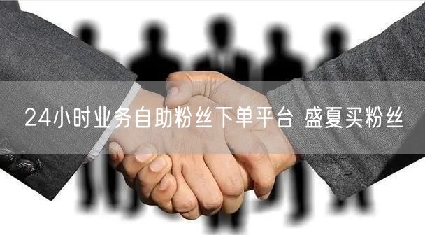 24小时业务自助粉丝下单平台 盛夏买粉丝