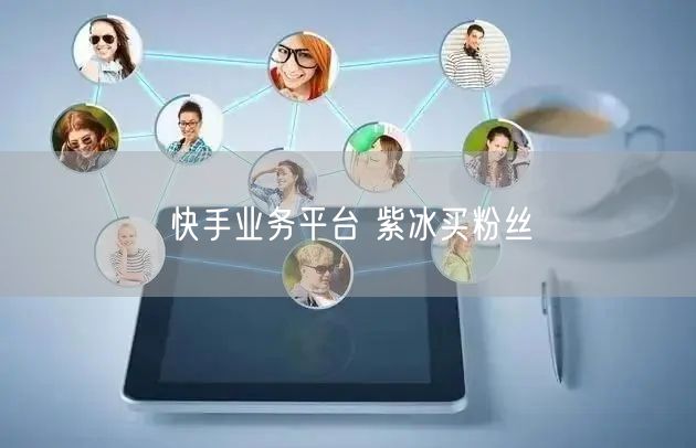快手业务平台 紫冰买粉丝