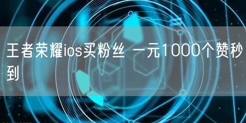 王者荣耀ios买粉丝 一元1000个赞秒到