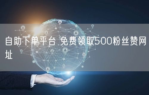 自助下单平台 免费领取500粉丝赞网址
