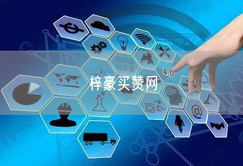 梓豪买赞网