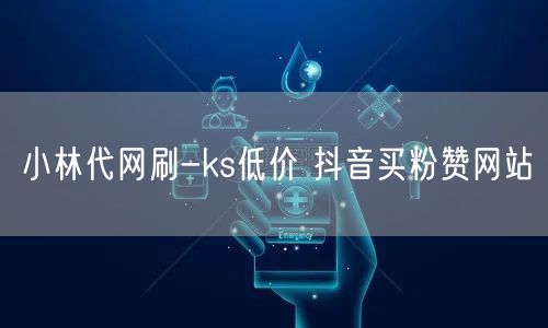 小林代网刷-ks低价 抖音买粉赞网站