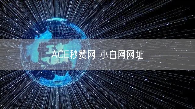 ACE秒赞网 小白网网址