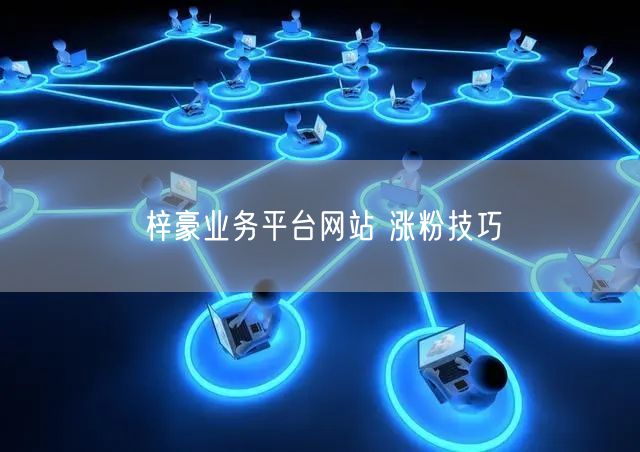 梓豪业务平台网站 涨粉技巧