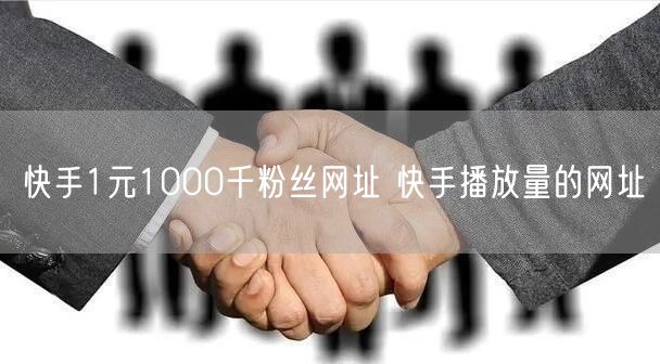 快手1元1000千粉丝网址 快手播放量的网址