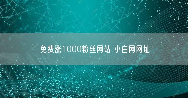 免费涨1000粉丝网站 小白网网址