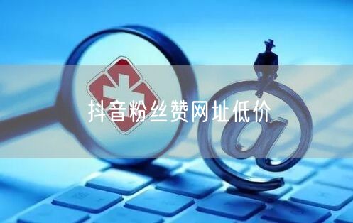 抖音粉丝赞网址低价